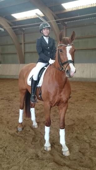 Anden særlig race Skovlunds Lacoste  - Dressurstævne billede 9