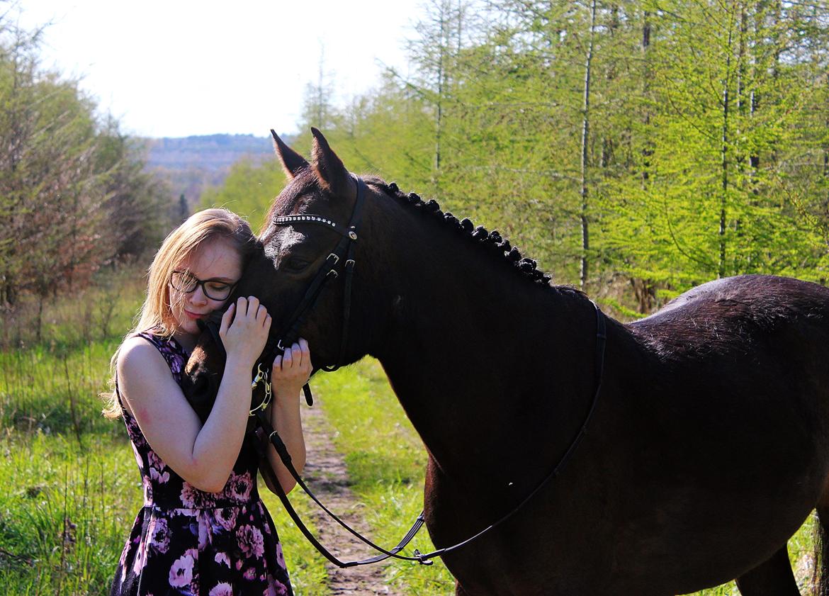 New Forest Skovens Micon  - Maj 2016 | Min fantastiske dreng ♥♥. billede 2