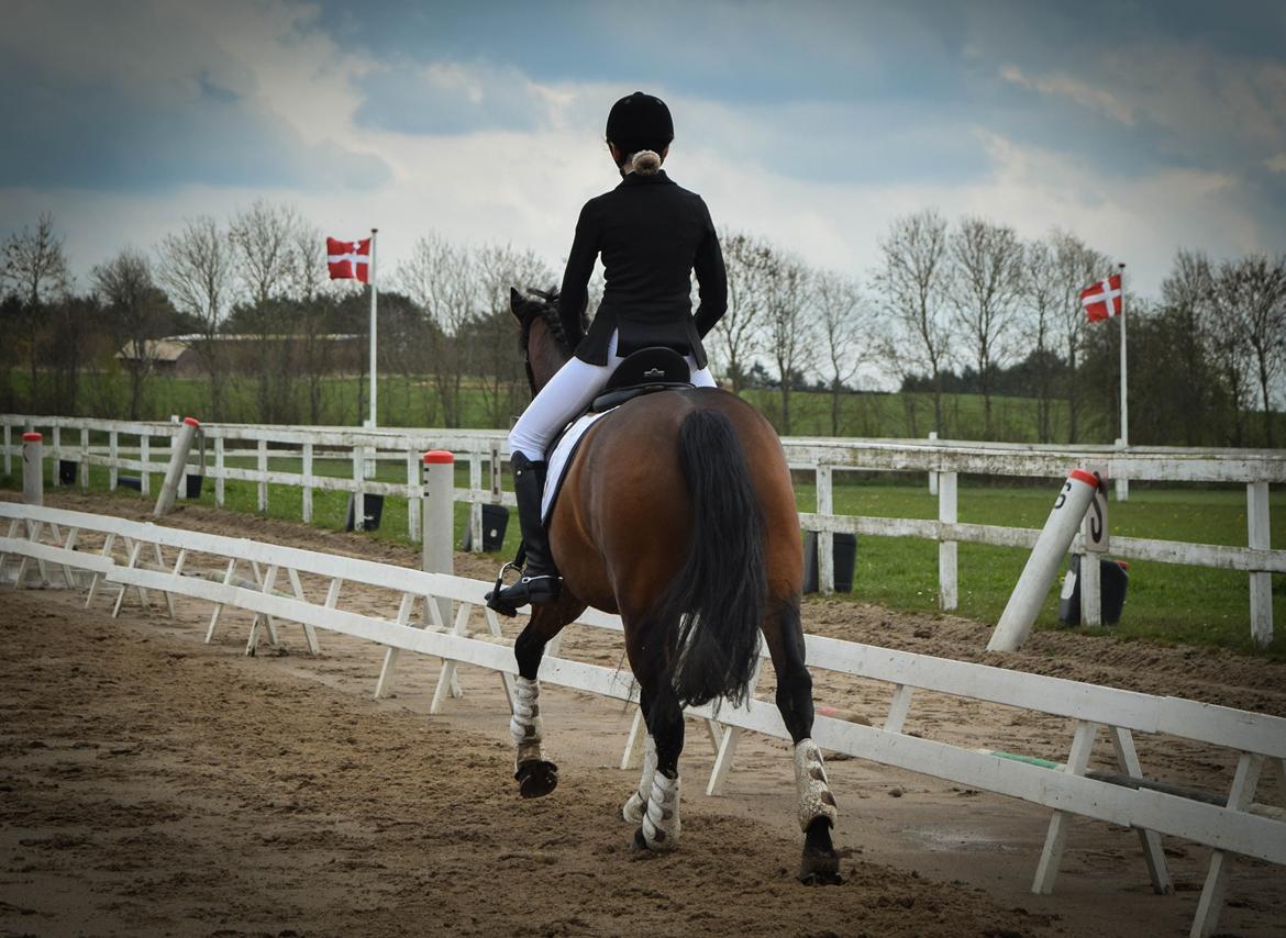 DSP Ellen - FOTO: Sofie Steengaard billede 19