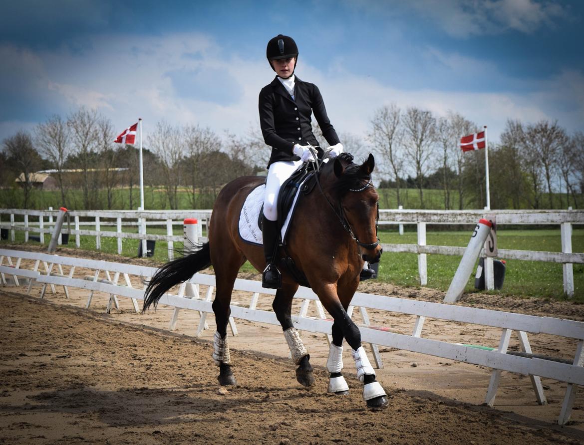 DSP Ellen - FOTO: Sofie Steengaard billede 3