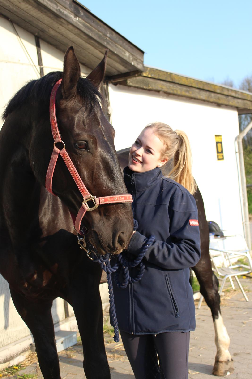 Oldenborg Horsebjergs galanto billede 6