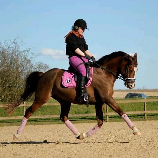 Sportsaraber (A) Bashir billede 15