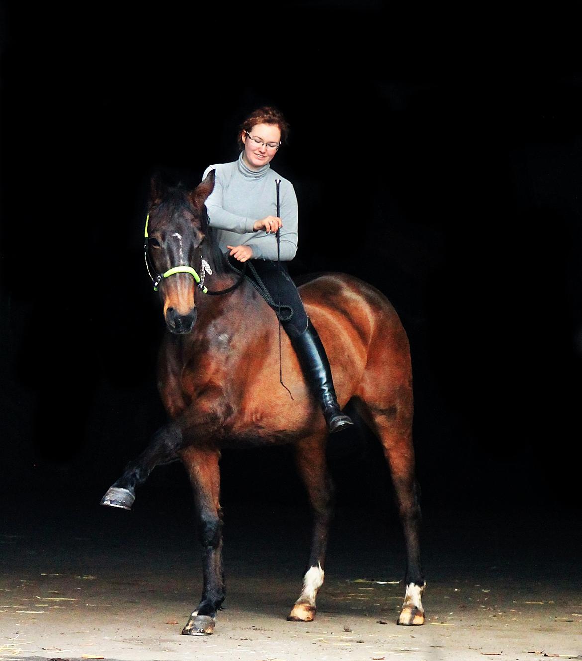 Dansk Varmblod Olivia billede 1