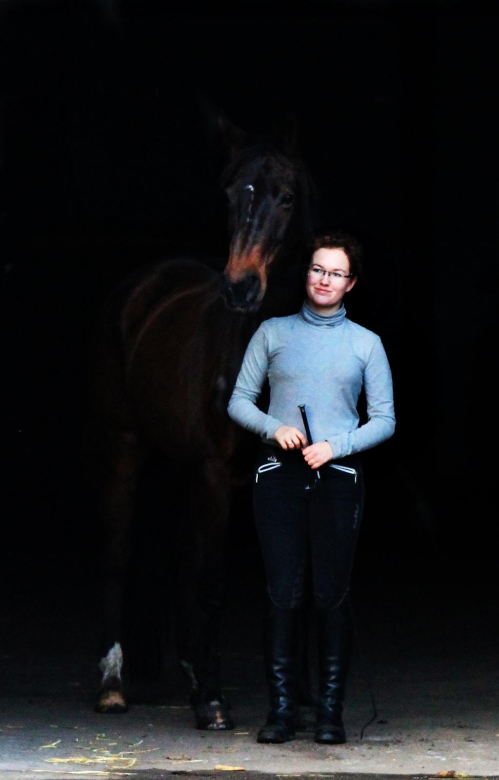 Dansk Varmblod Olivia billede 6