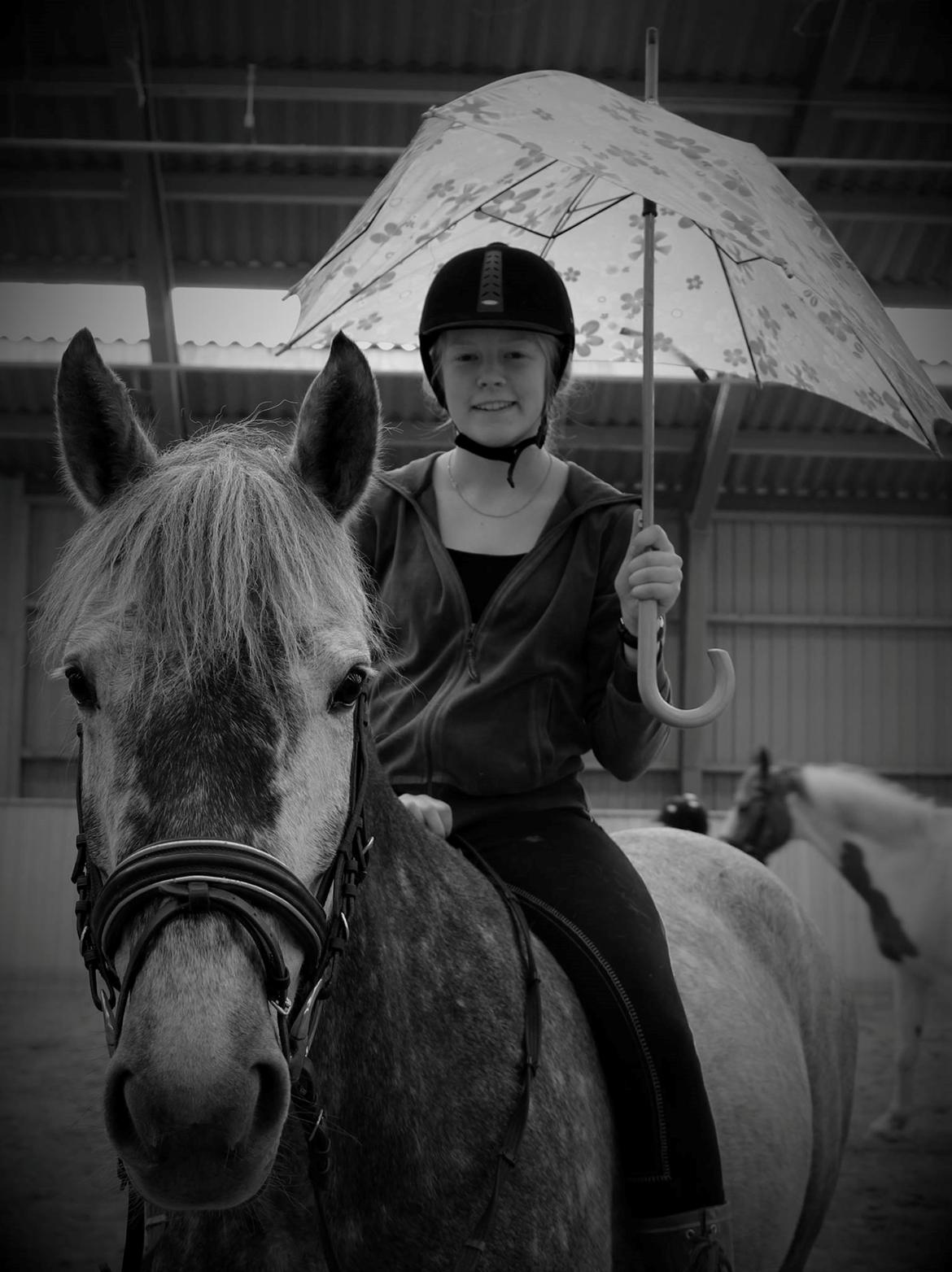 Anden særlig race Antares billede 6