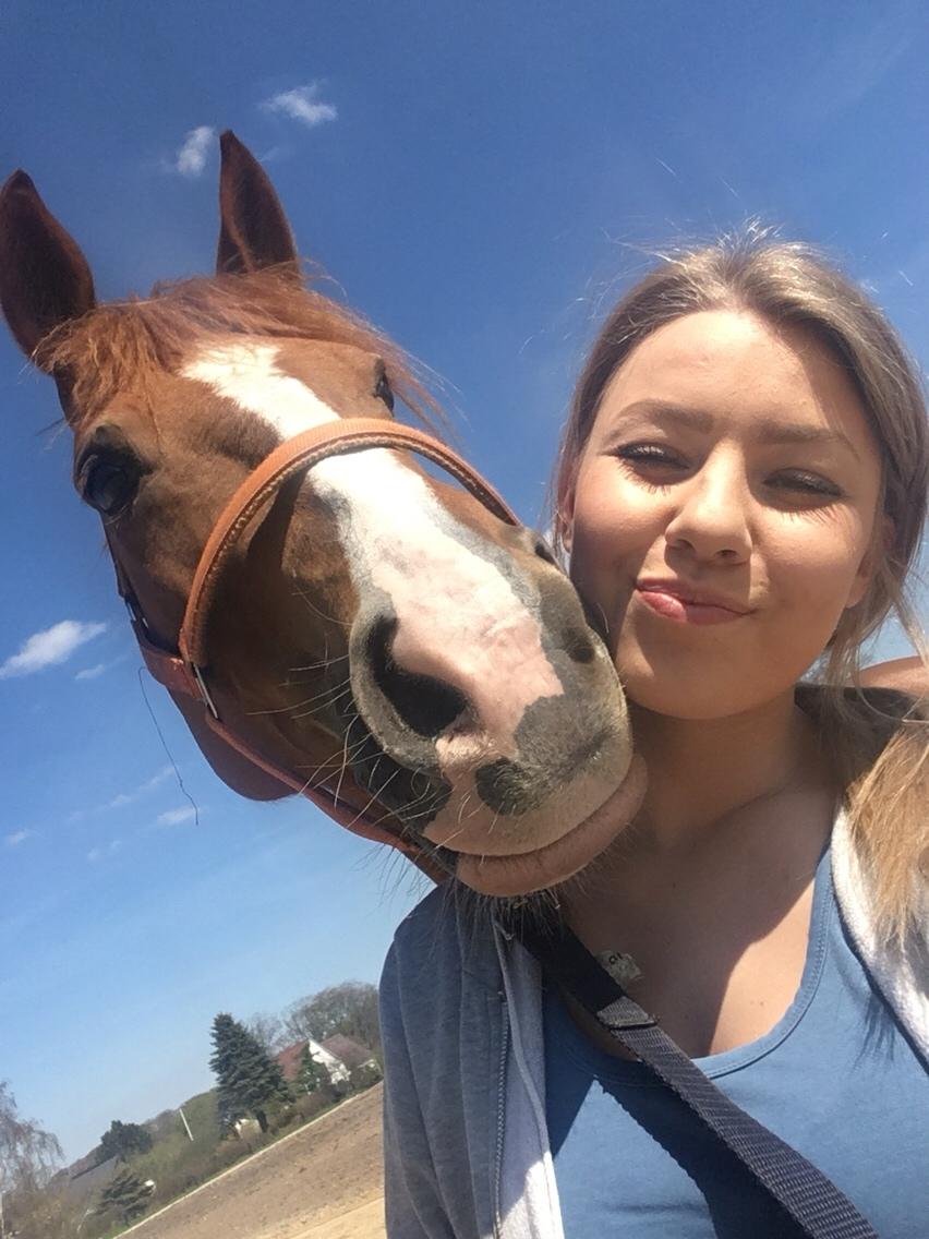 Anden særlig race Silvia billede 6