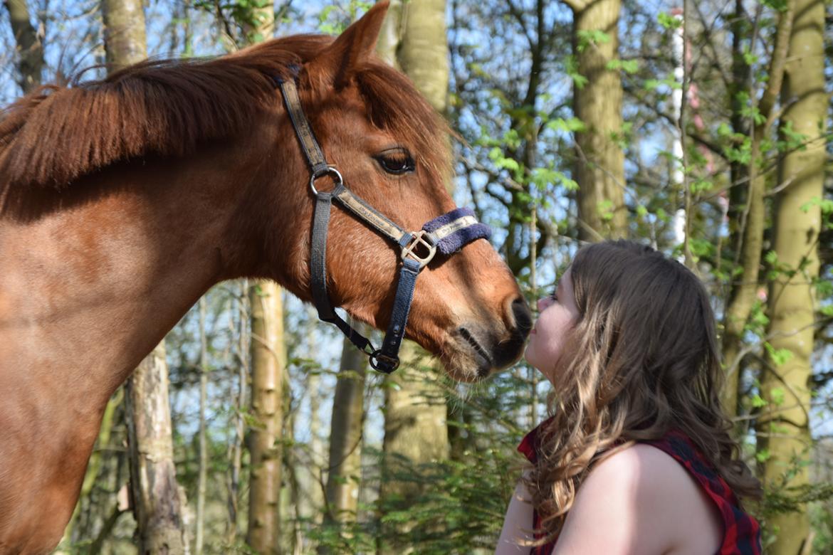 Anden særlig race Lotte [Lånt ud] billede 3