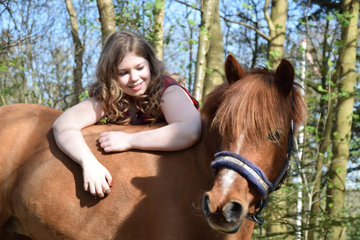 Anden særlig race Lotte [Lånt ud] billede 2