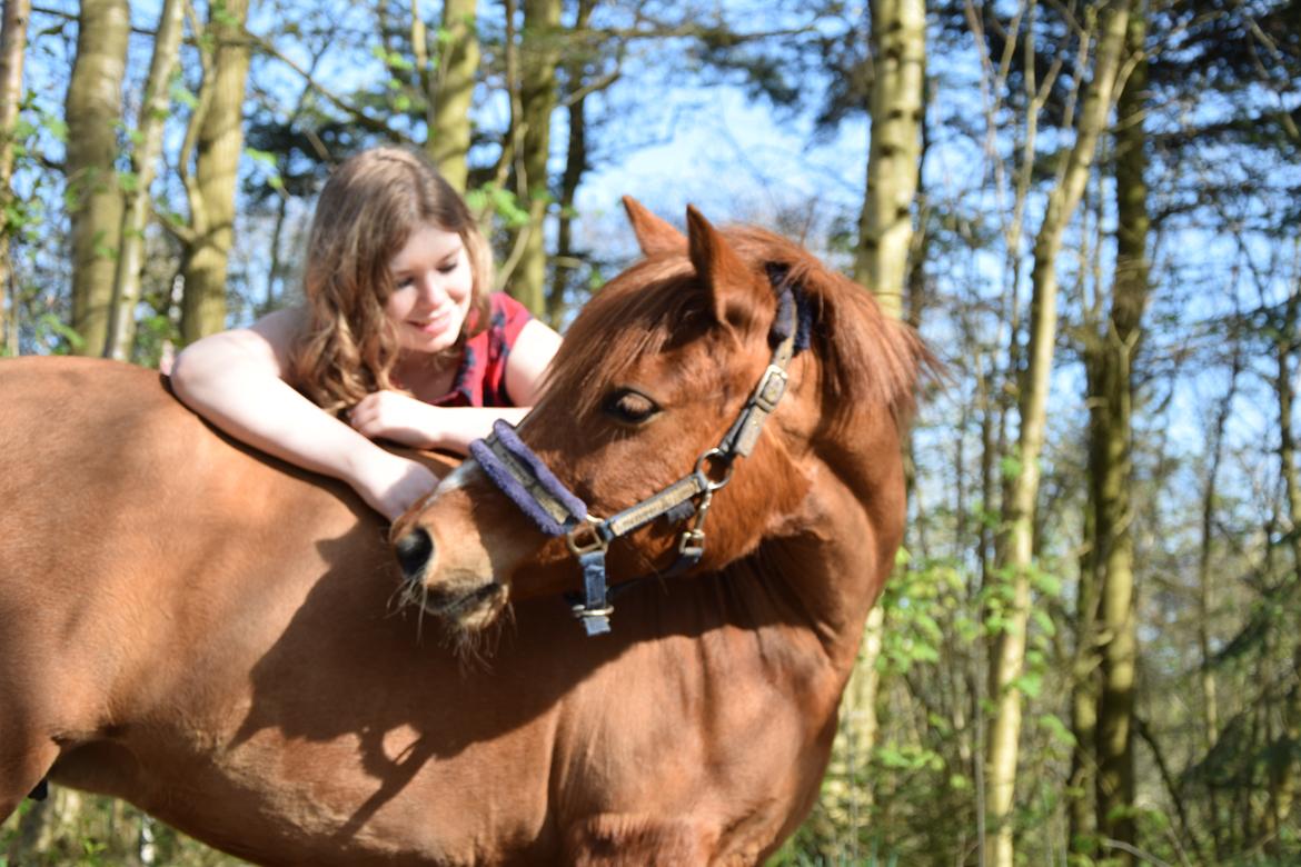 Anden særlig race Lotte [Lånt ud] billede 9