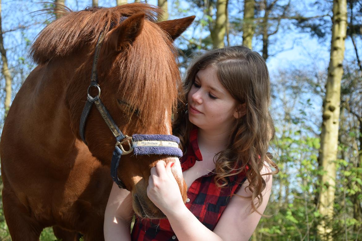 Anden særlig race Lotte [Lånt ud] billede 1