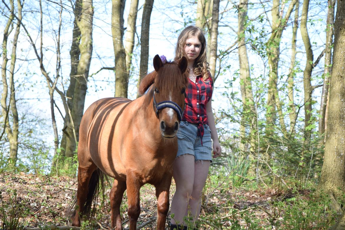 Anden særlig race Lotte [Lånt ud] billede 5
