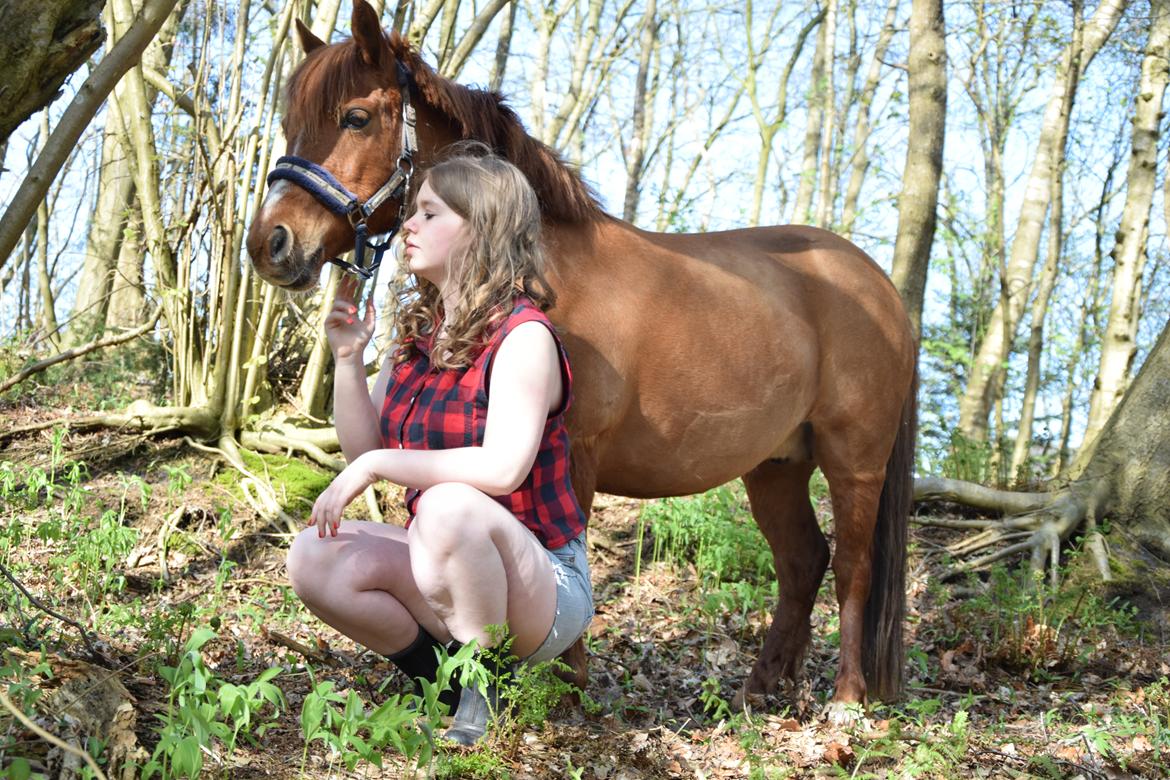 Anden særlig race Lotte [Lånt ud] billede 8