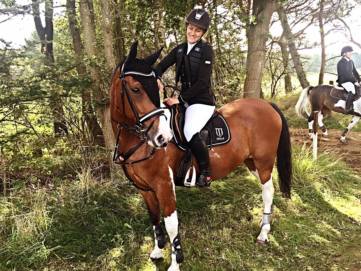 Pinto Robin - danmarks cup 2015 billede 20