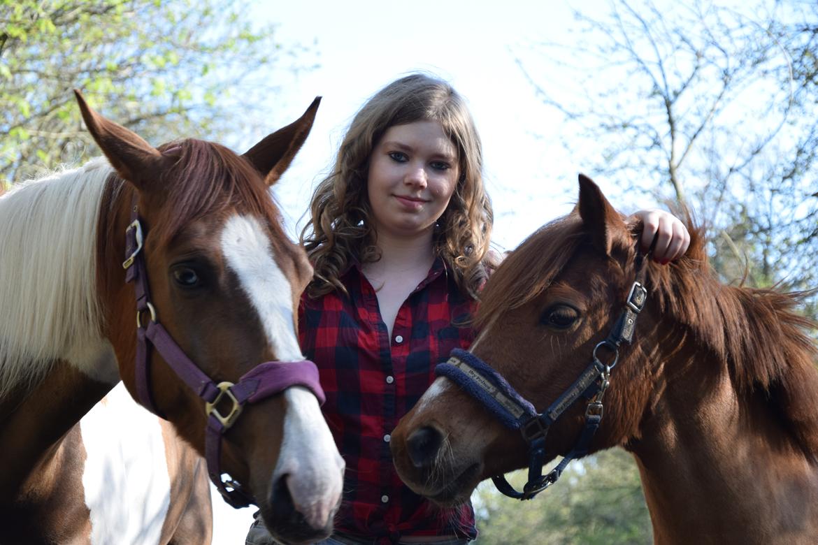 Anden særlig race Lotte [Lånt ud] billede 11