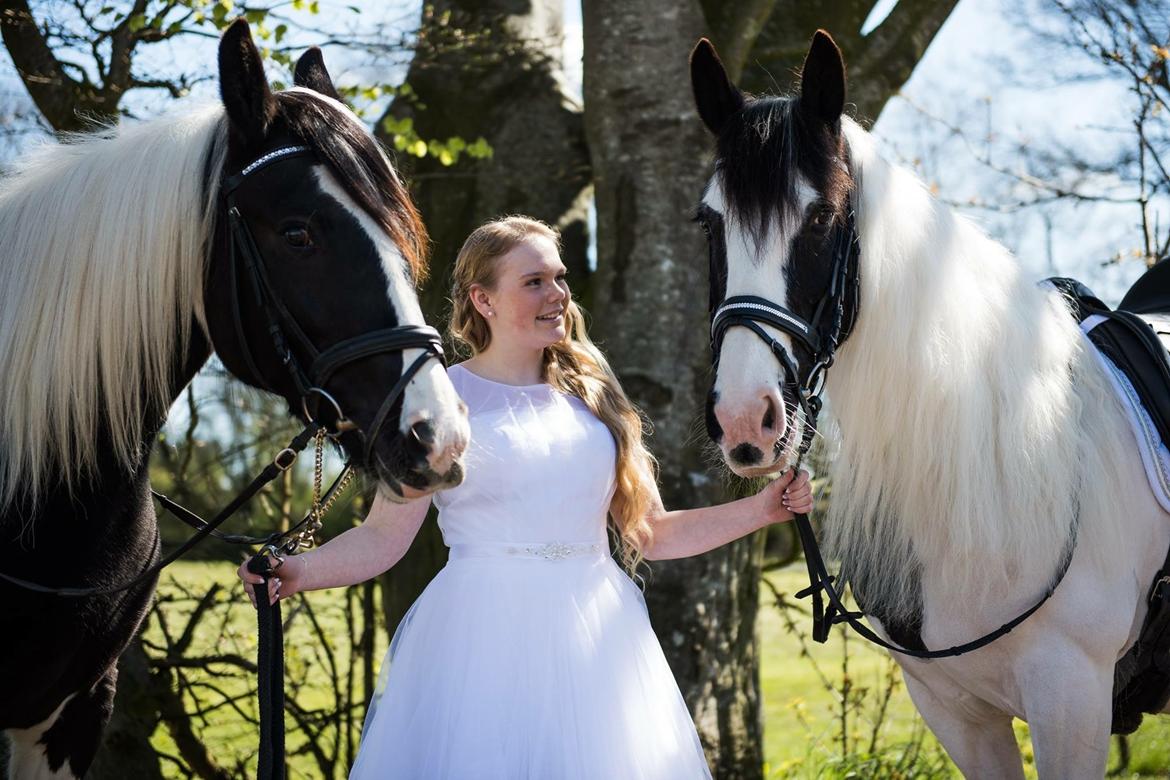 Tinker Møllegårdens Cherie billede 16