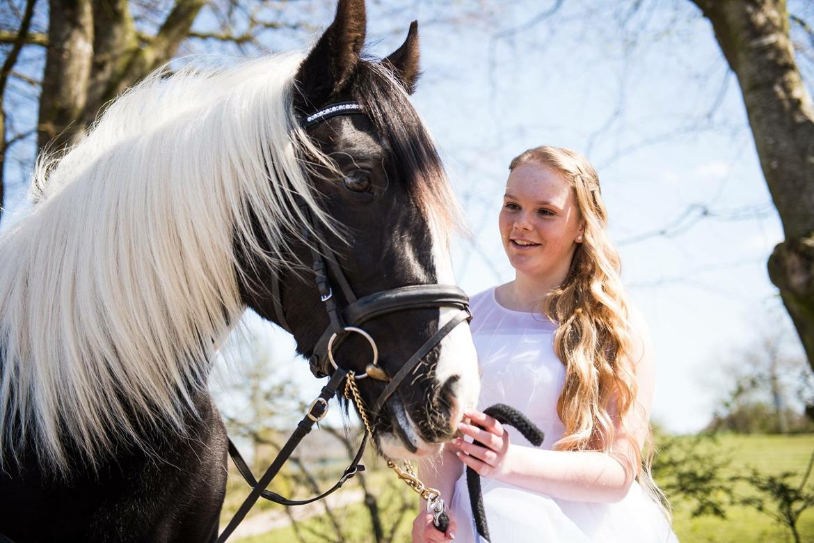 Tinker Møllegårdens Cherie billede 19