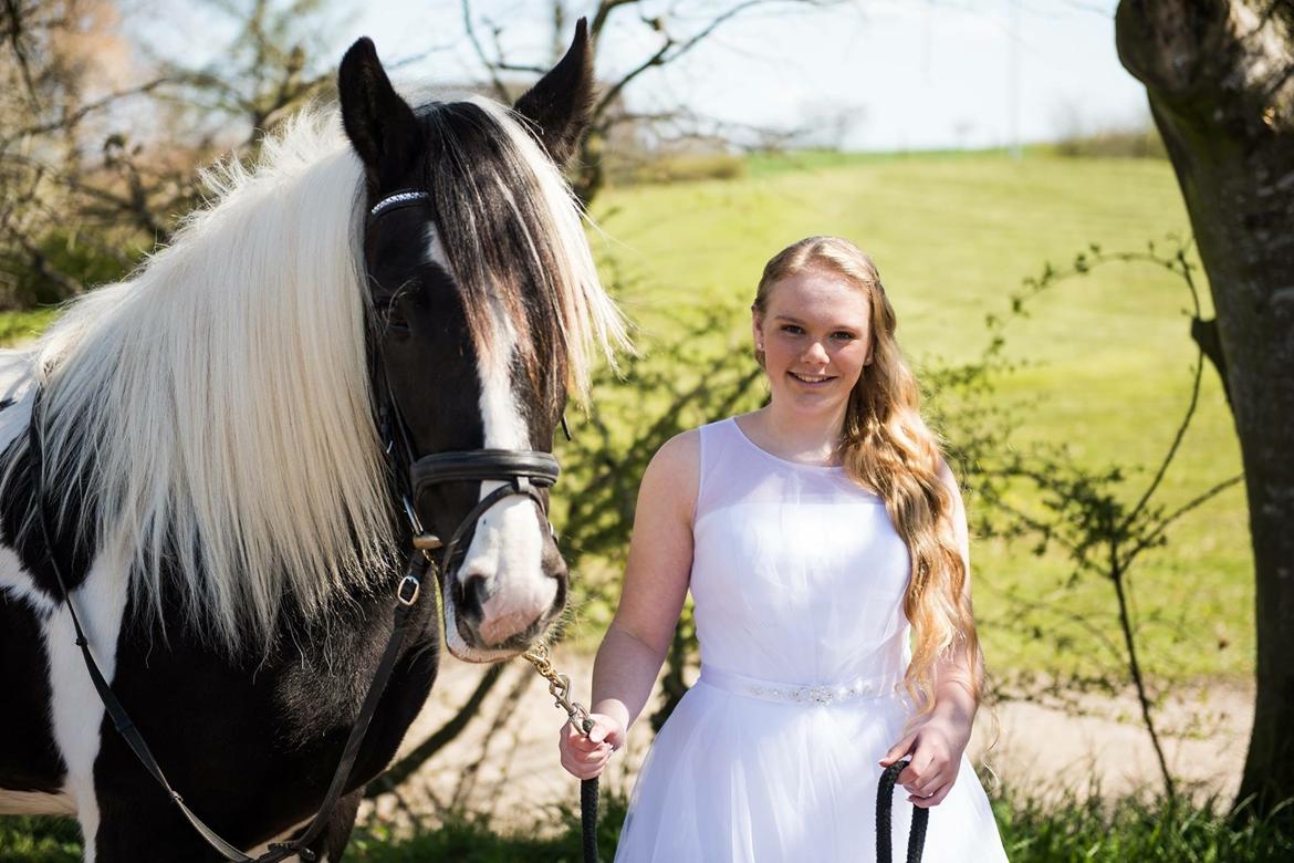Tinker Møllegårdens Cherie billede 17