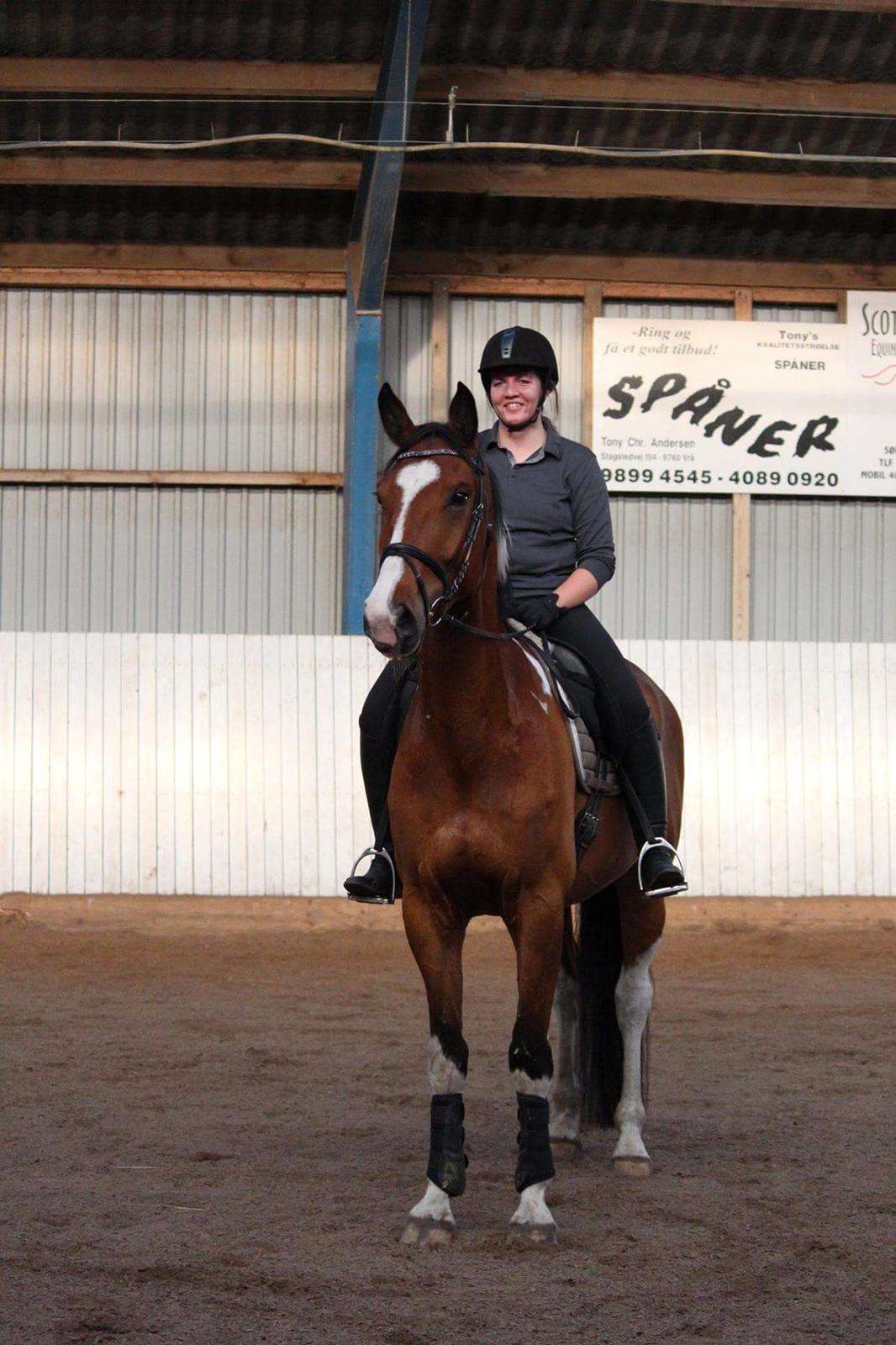 Anden særlig race Filur billede 18