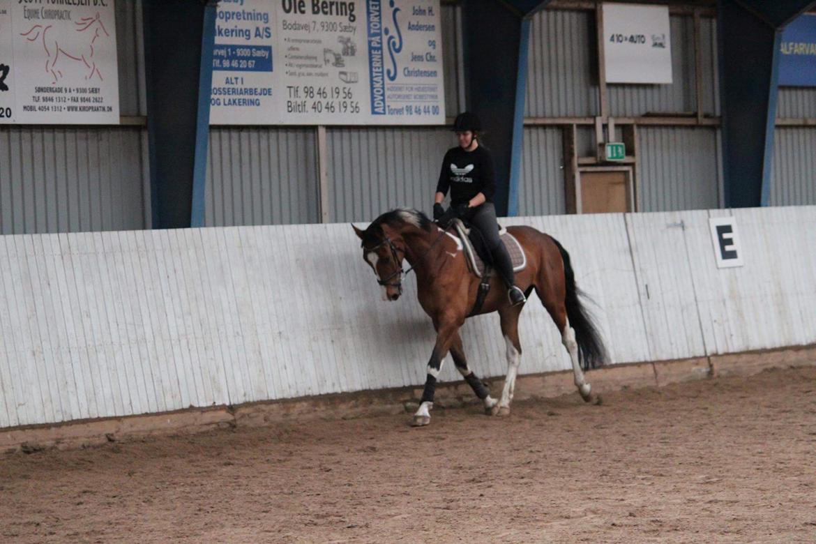 Anden særlig race Filur billede 19
