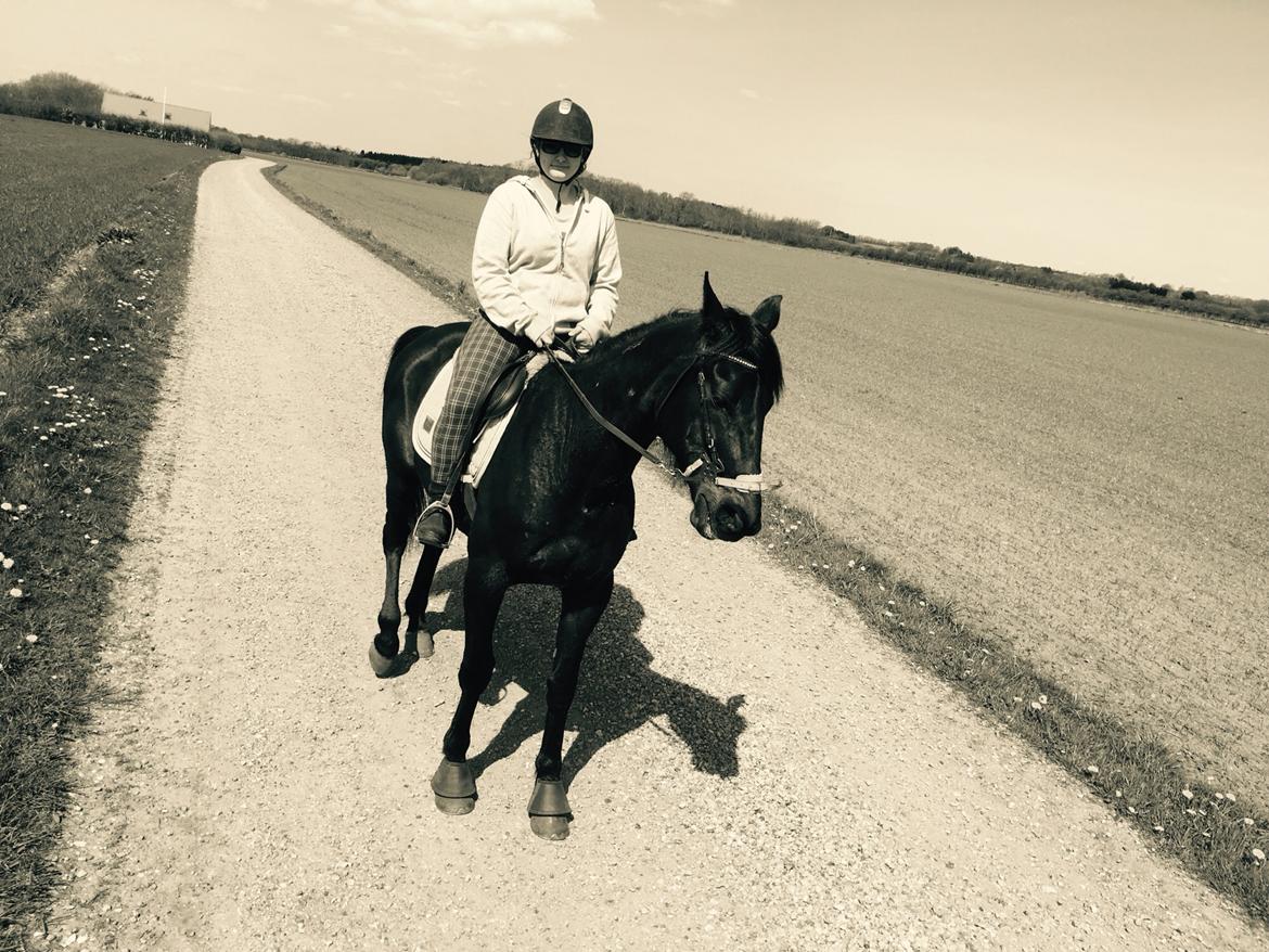 Traver I Wish Icould Fly ( evige græsmarker ) billede 19