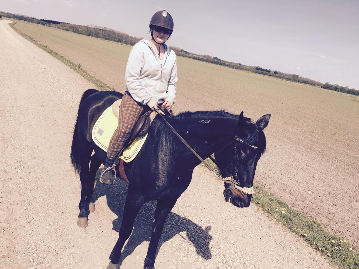 Traver I Wish Icould Fly ( evige græsmarker ) billede 20