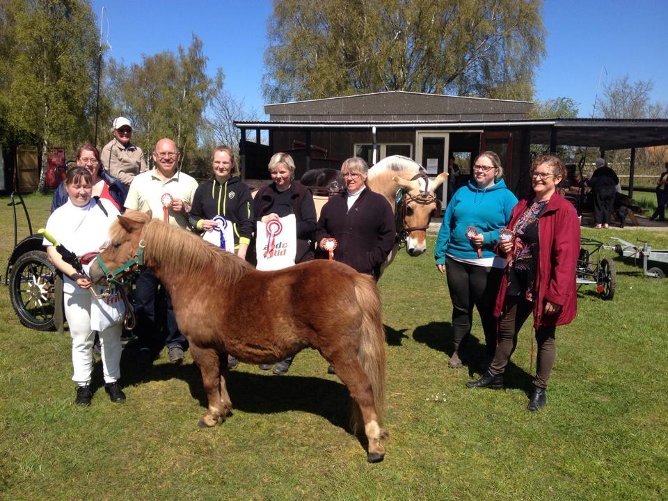 Shetlænder Markeslevgårds sam - Kalundborg køreforening billede 20