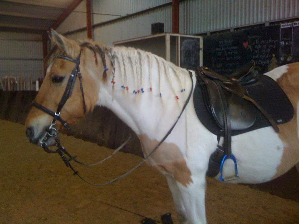 Anden særlig race Victoria <3 R.I.P <3 :'( Savner dig :'( <3 - Smukke pige <3 billede 26