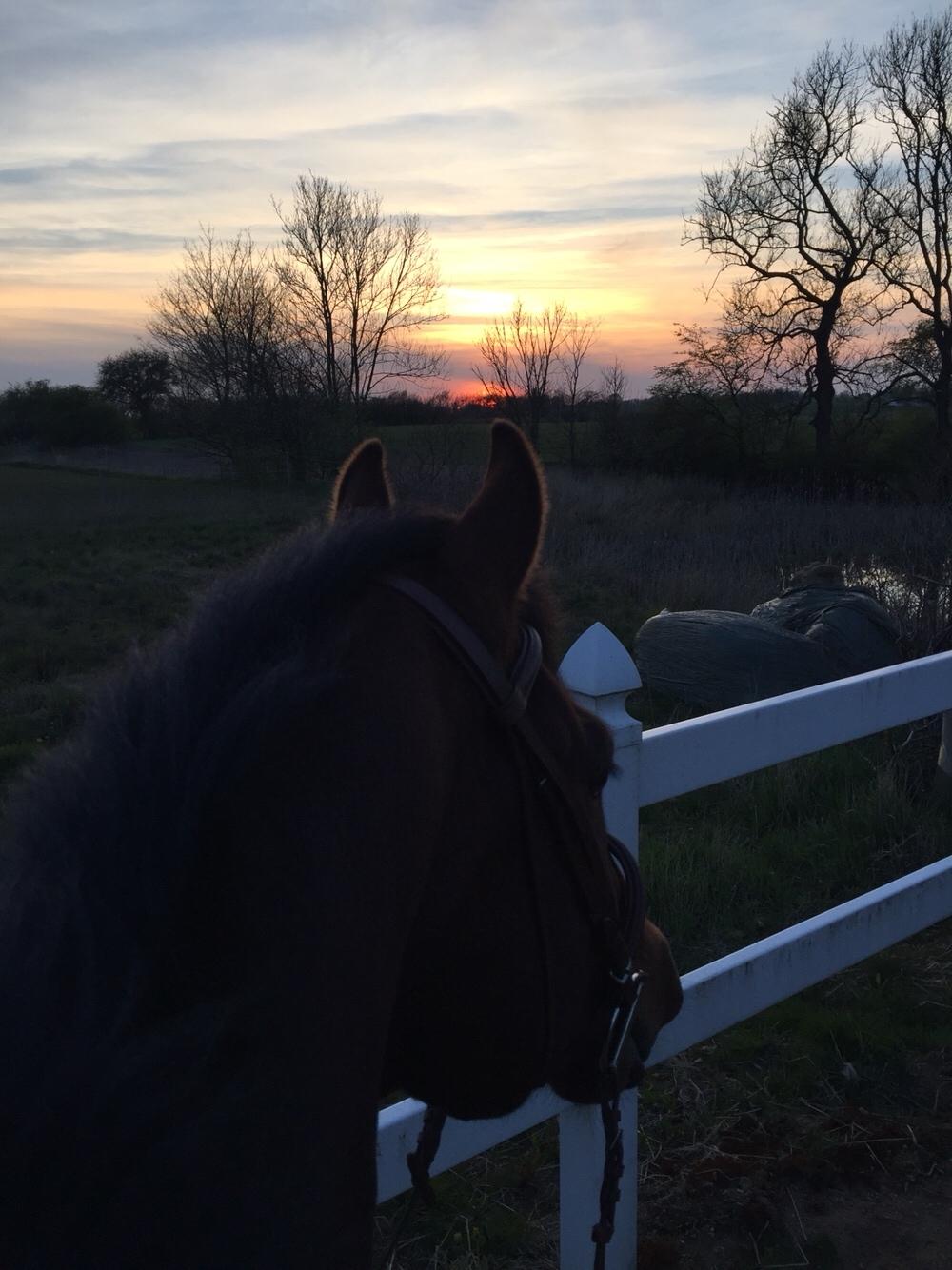 Quarter One Hot Destination billede 16