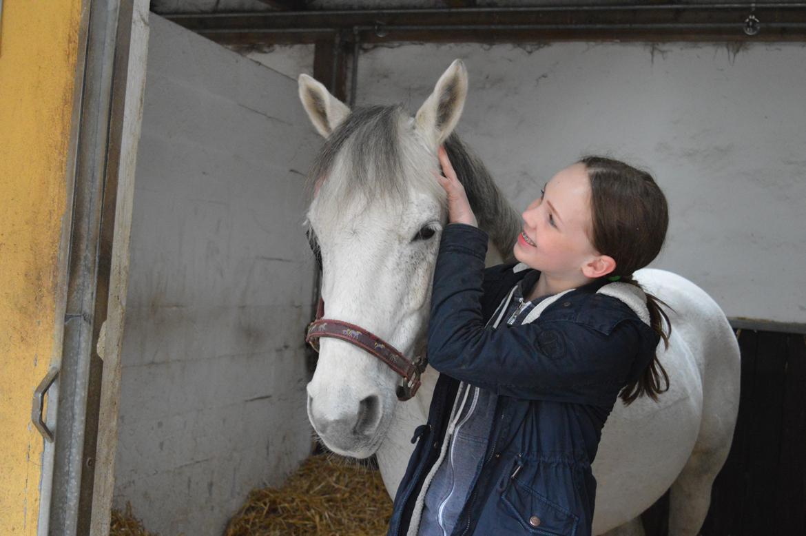 Connemara Stan billede 2