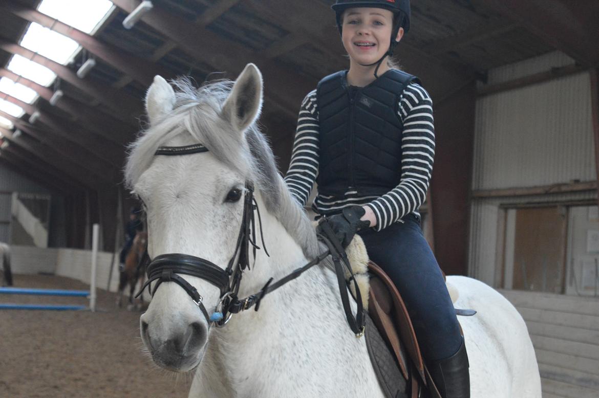 Connemara Stan billede 11