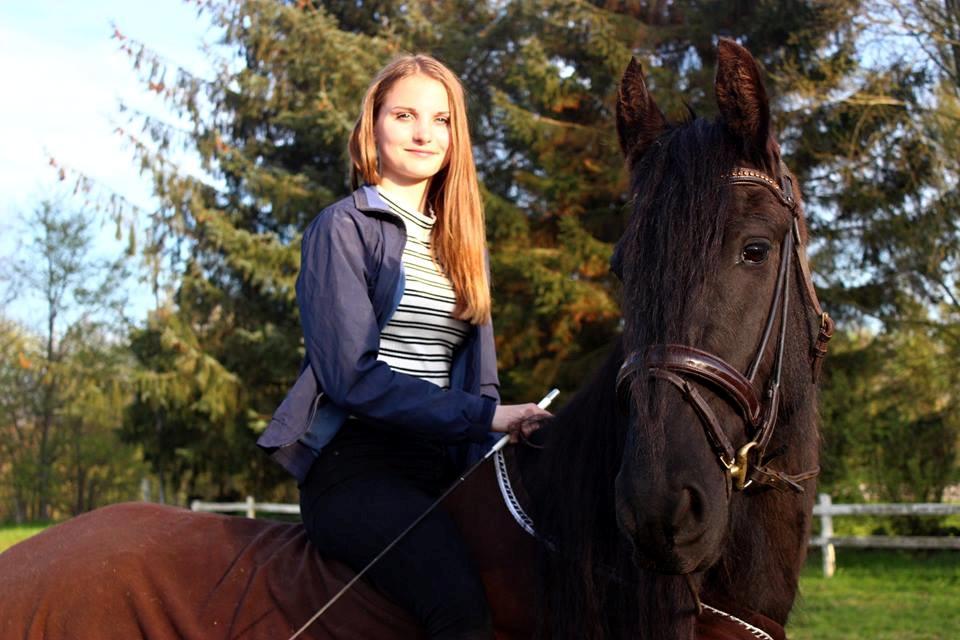 Barockpinto Kastell billede 1