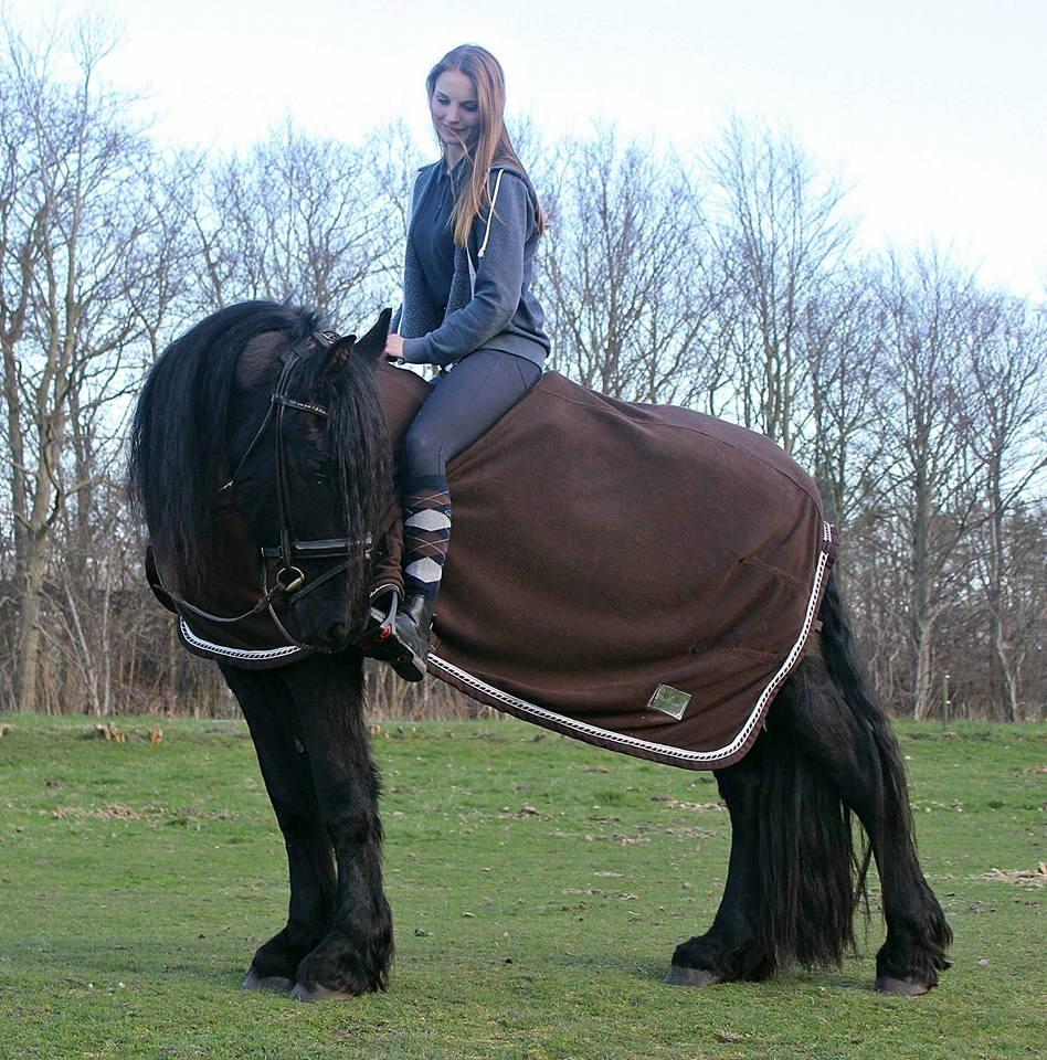 Barockpinto Kastell billede 3