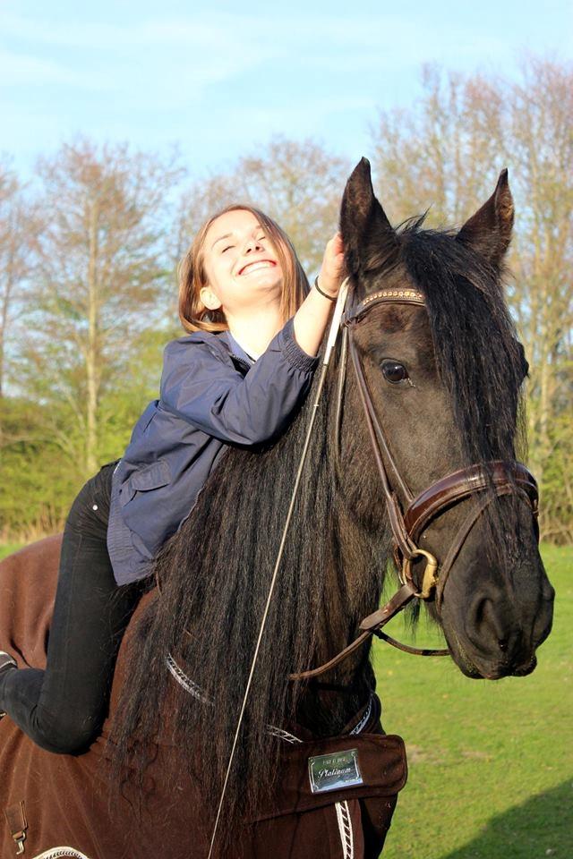 Barockpinto Kastell billede 4