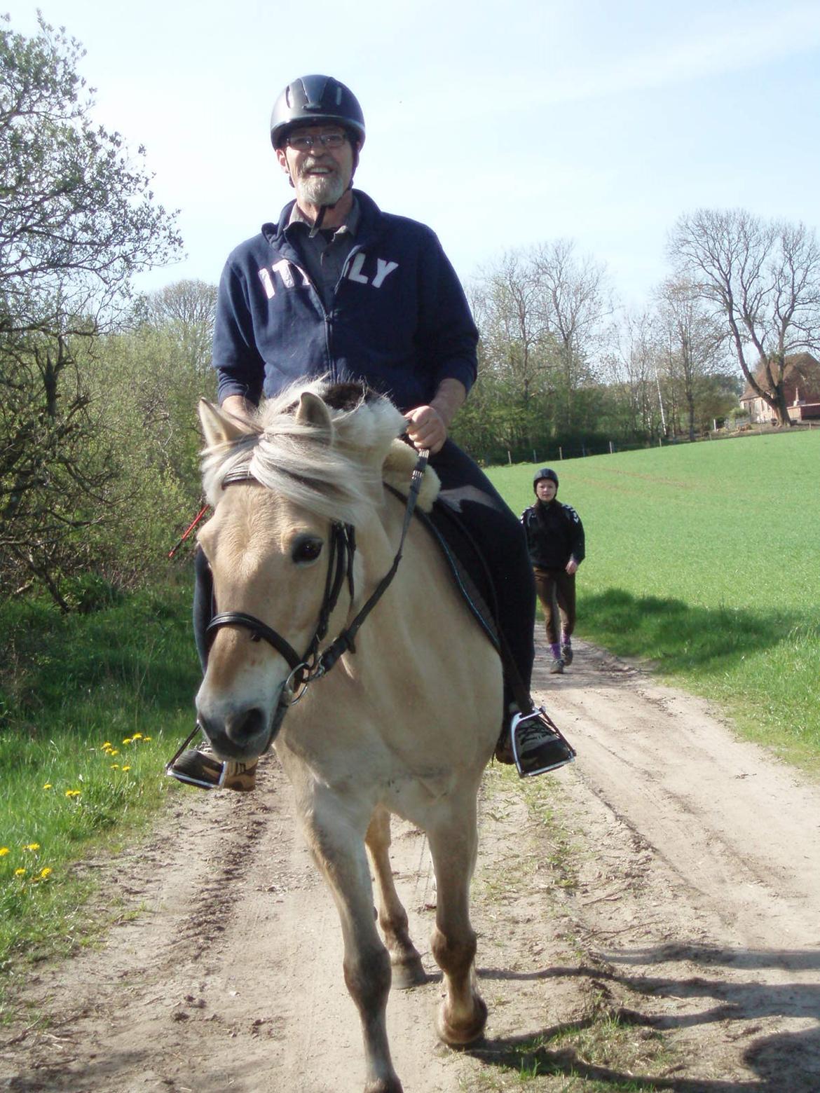 Fjordhest Vrå nikita billede 25