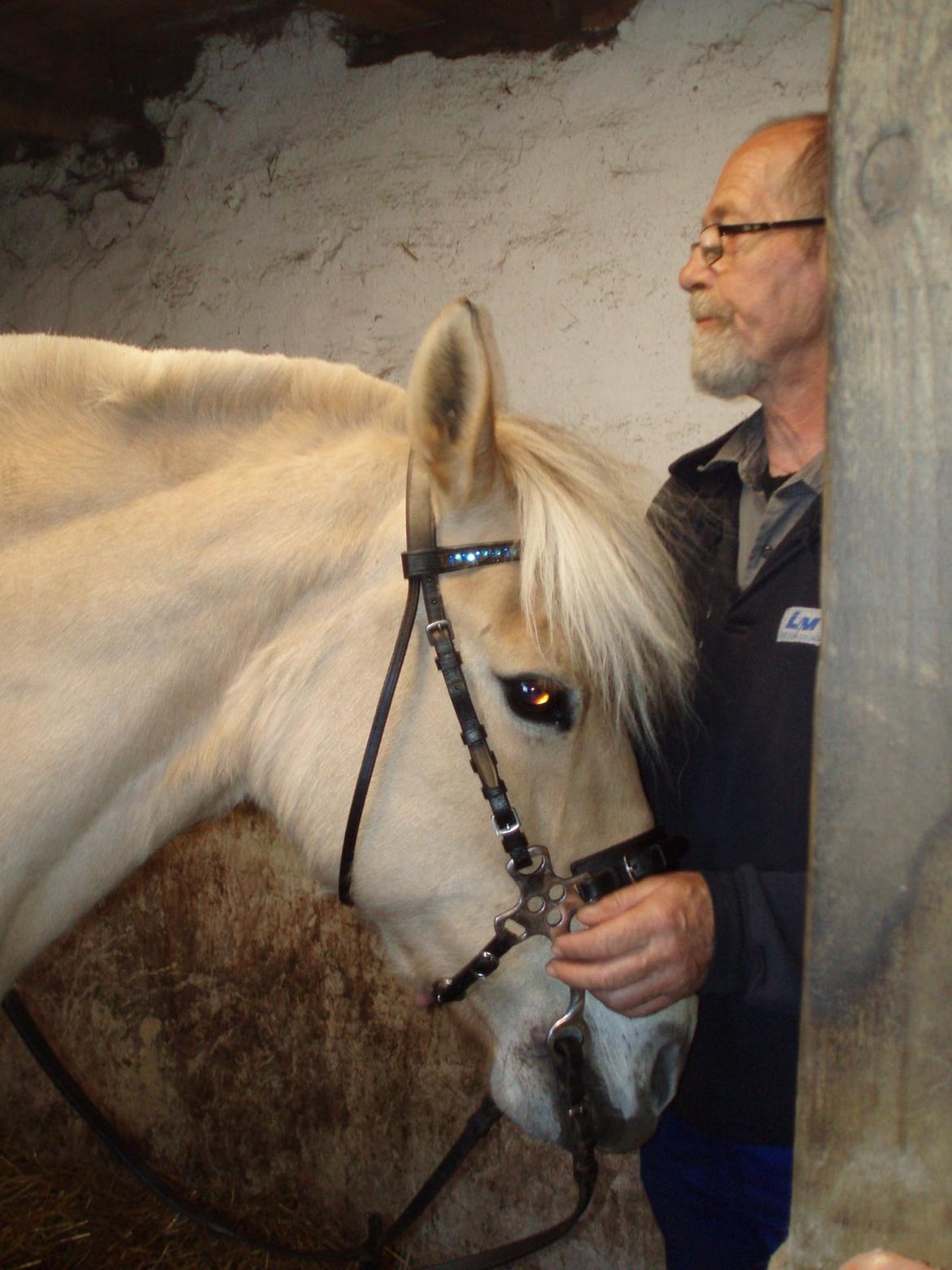 Fjordhest Vrå nikita - Fremtidig rideudstyr  billede 24