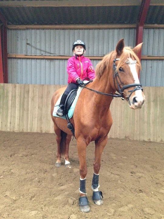 Anden særlig race Silvia billede 10