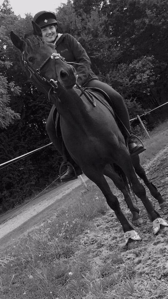 Anden særlig race Jumper  billede 3