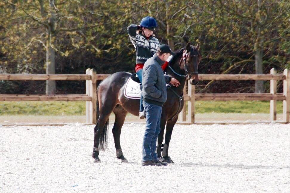 Anden særlig race Jumper  billede 5