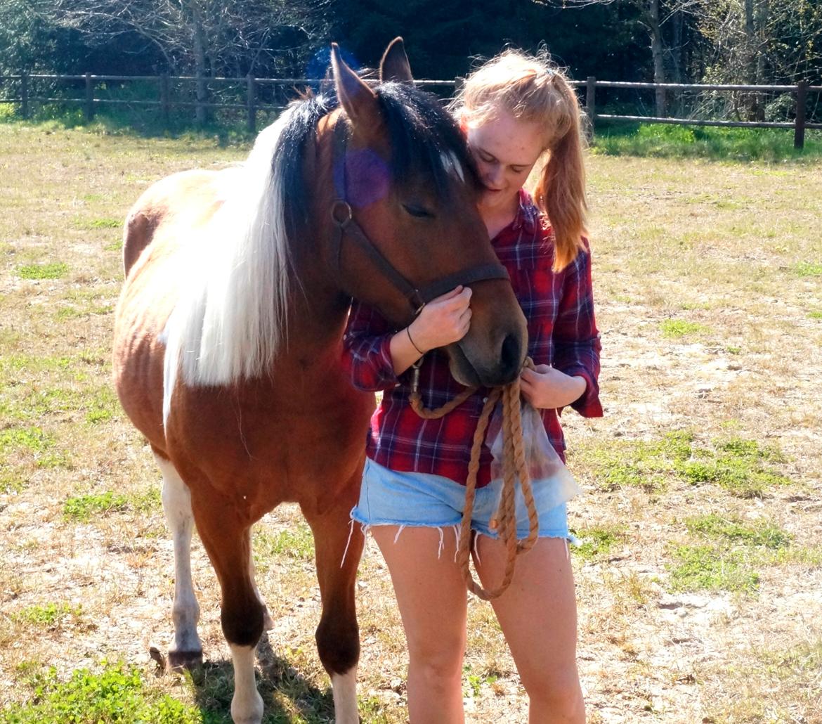 Anden særlig race Joey - sødeste blideste dreng <3 anden gang på banen 5/5-2016 billede 1