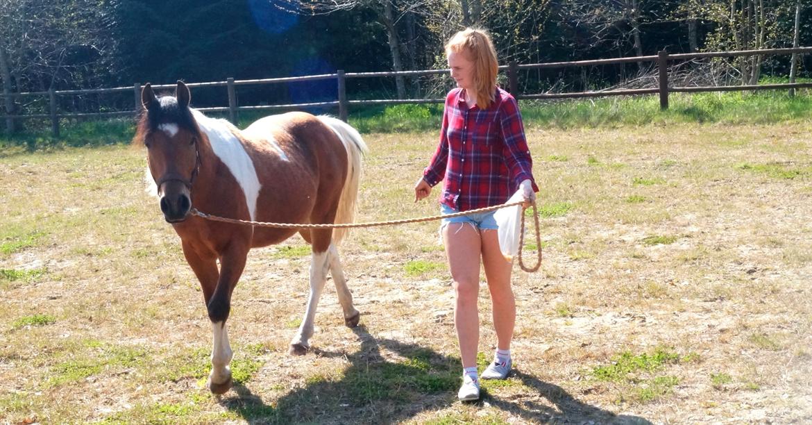 Anden særlig race Joey - 5/5-2016 billede 16