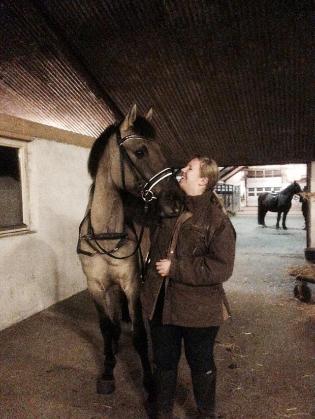 Anden særlig race Nygaards Baron S. billede 37