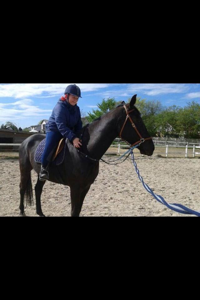 Anden særlig race Piratus  billede 3