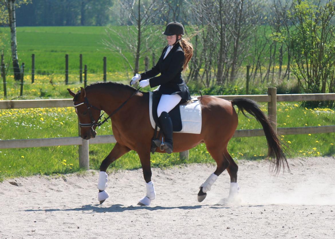 DSP Reb'l Fleur billede 36