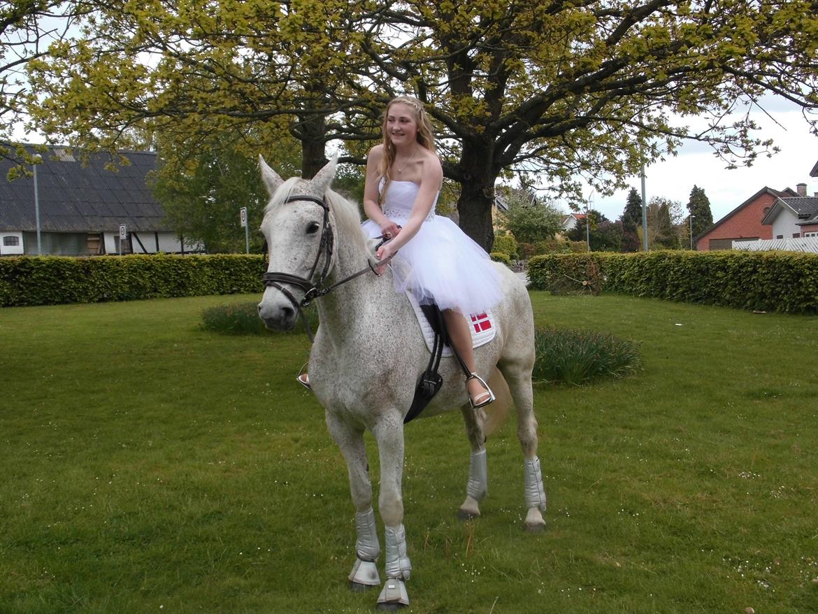 Anden særlig race Milleniums Maybe billede 2