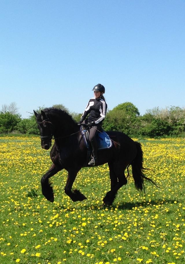 Frieser Alegro Ellemose  billede 3