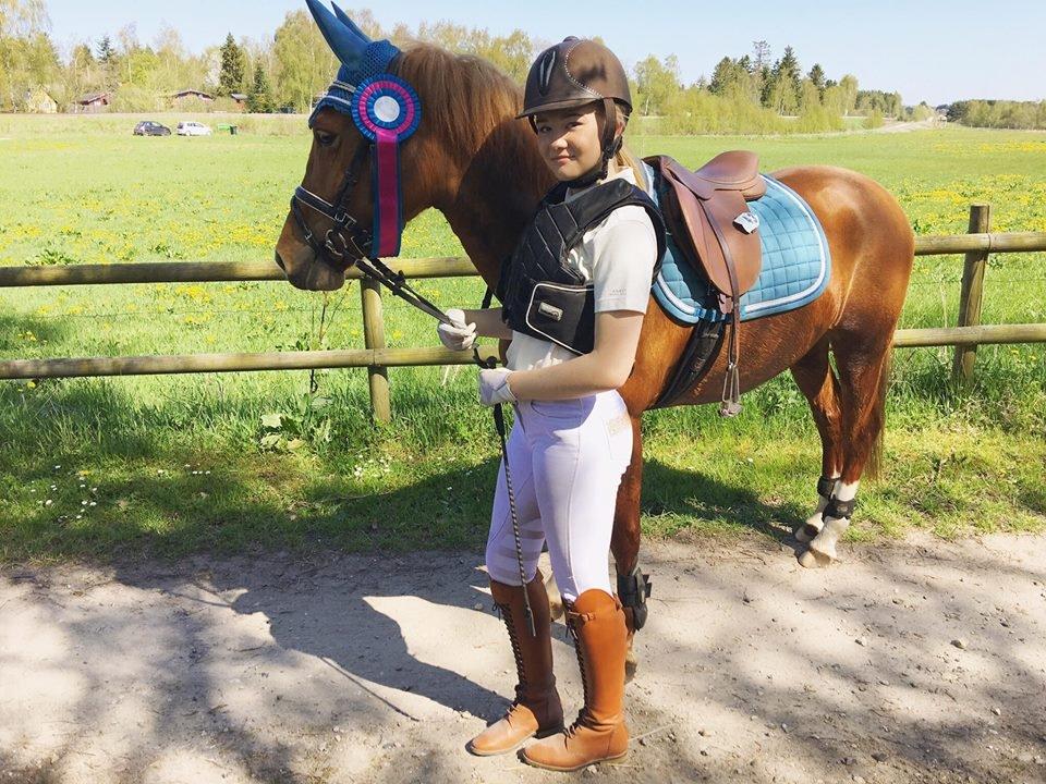 New Forest Nina (Ninja) billede 6