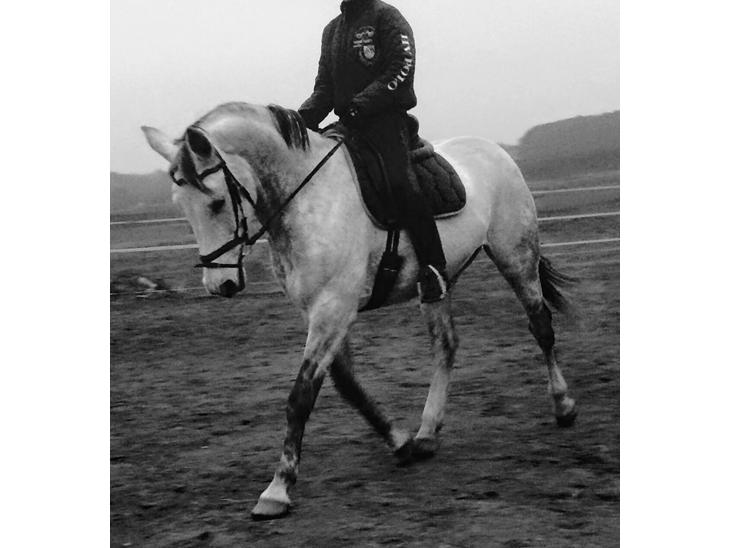 {{currentPhoto.altText}} billede {{currentPhoto.number}}