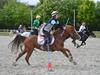 Hollandsk Sportspony Sonja [Tidl. hest]