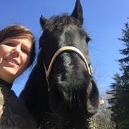 Frieser Ileana (Ilja)