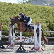 New Forest Brentebjergs alphabeat